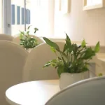 Centro Bed & Breakfast