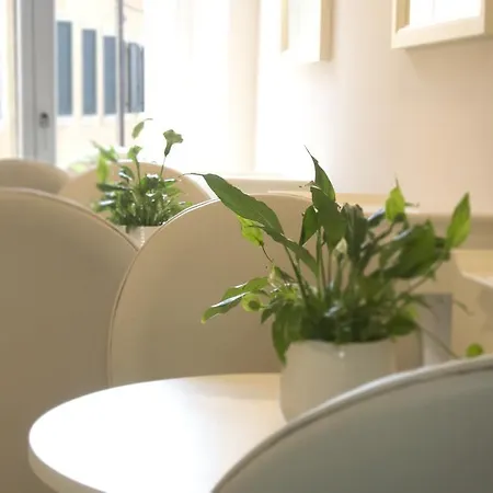 Centro Couette-café